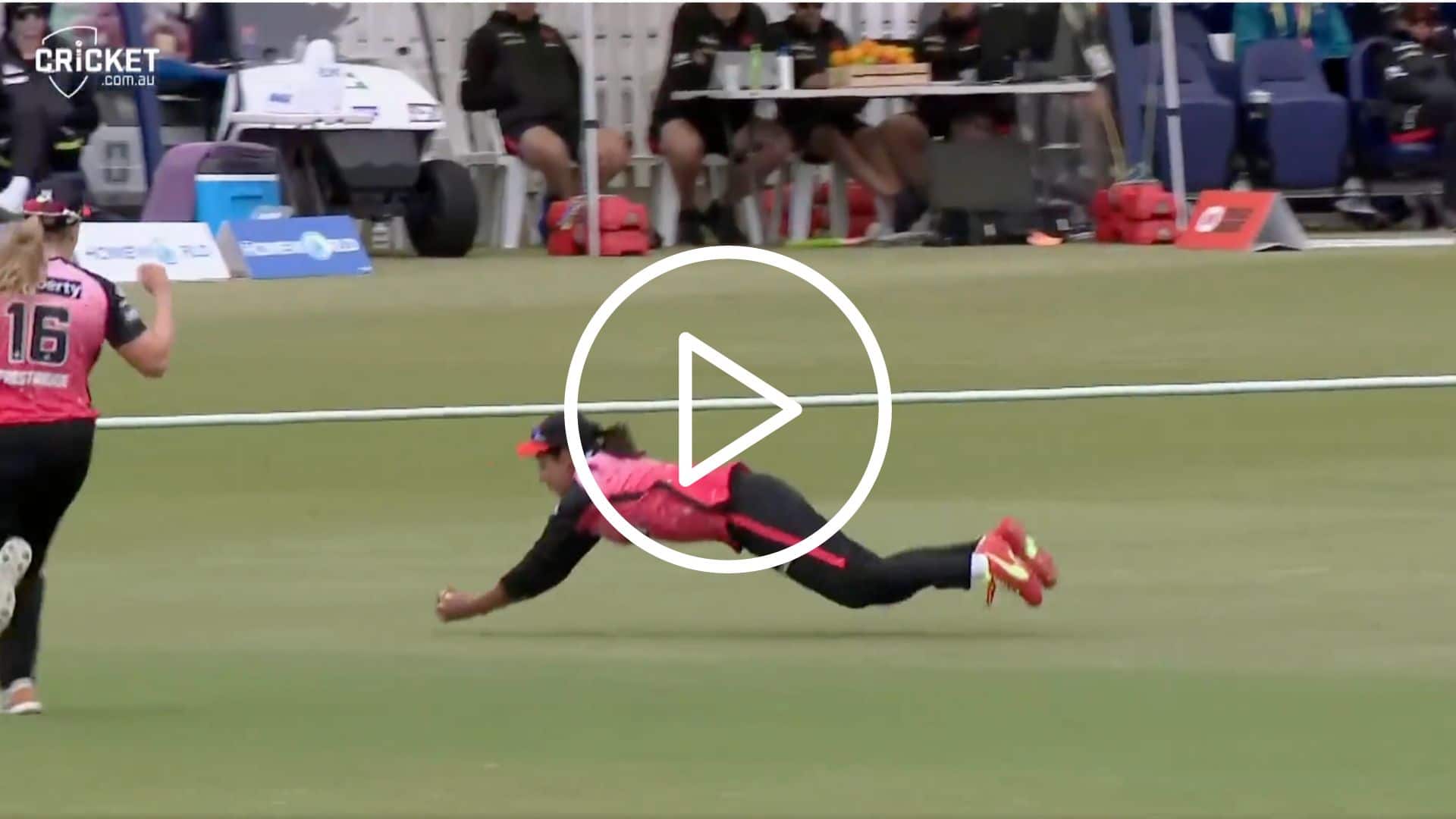 [Watch] Harmanpreet Kaur Hangs On A Stunner For Renegades In WBBL 2023